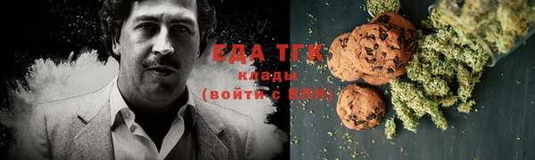 гидра Нестеровская