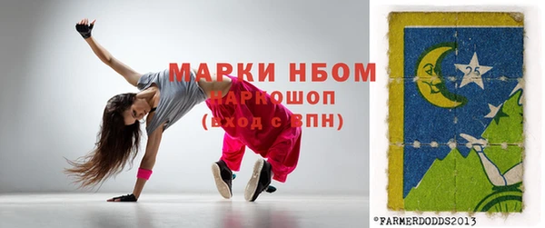 гидра Нестеровская