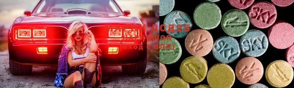 гидра Нестеровская