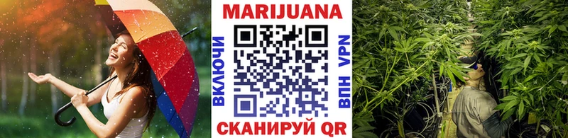 Бошки Шишки семена  Купить закладки  Новый Оскол 